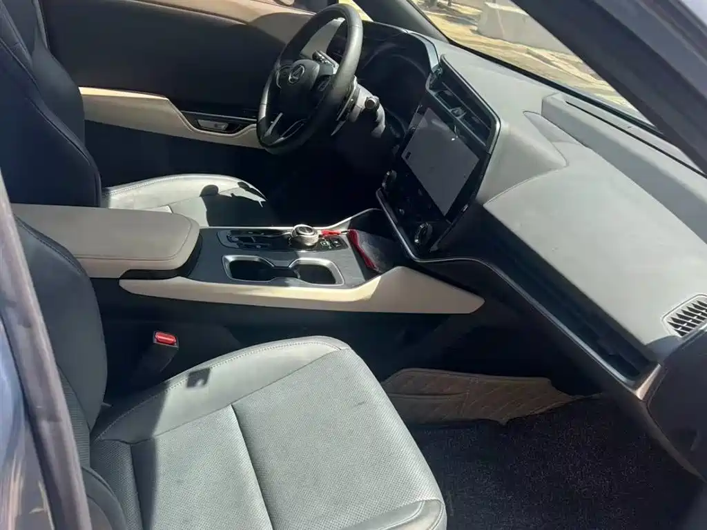 Lexus RZ 2023 — фото 10