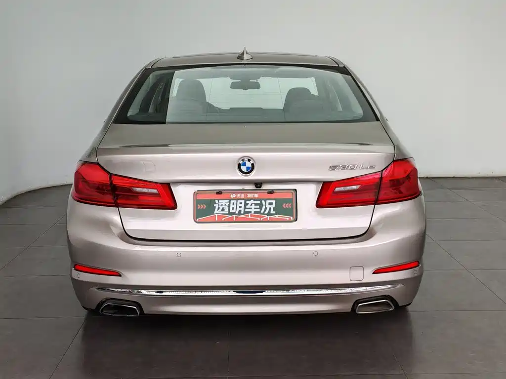 BMW 5 Series New Energy 2018