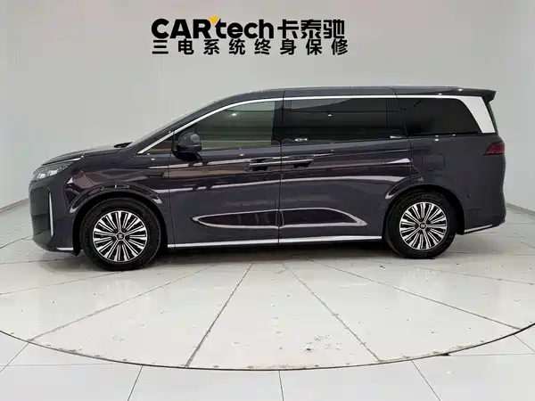 BYD Summer 2025