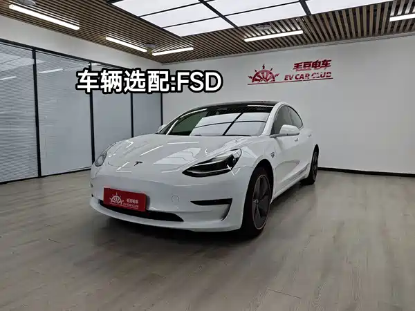 Tesla Model 3 2019