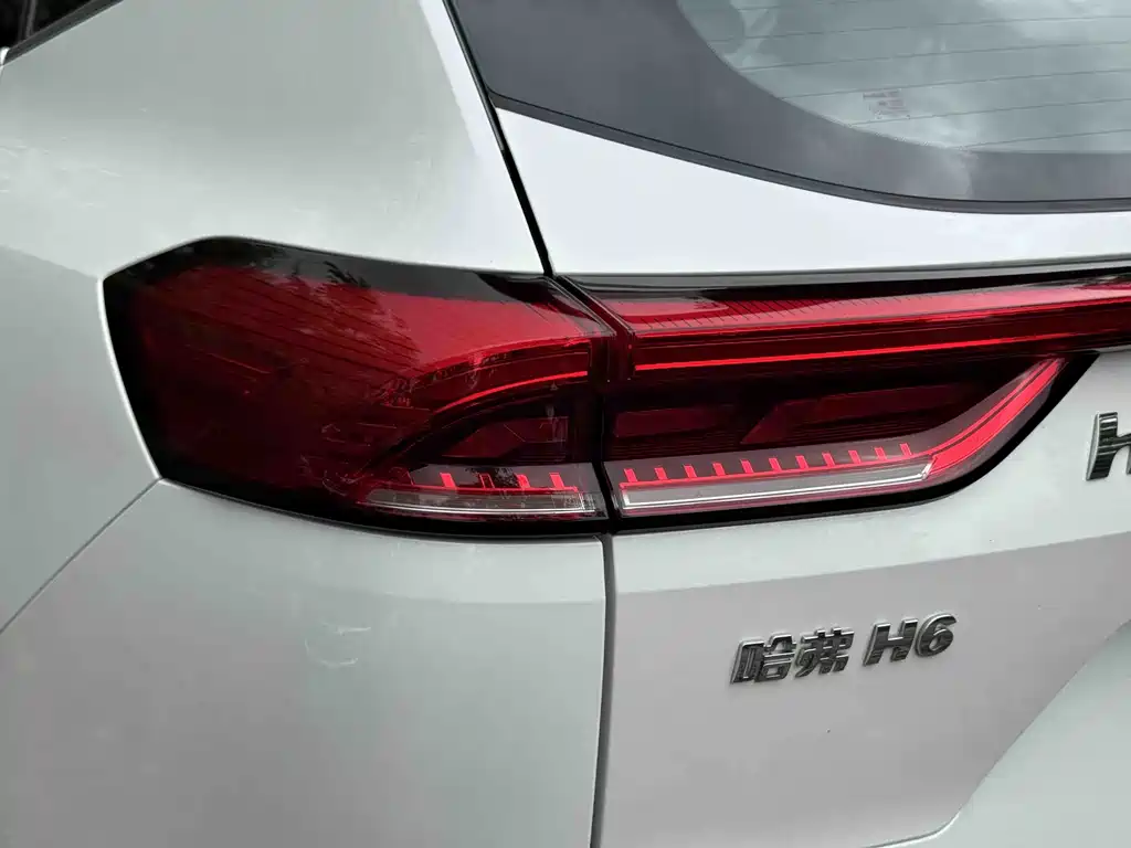 Haval H6 2022 — фото 9