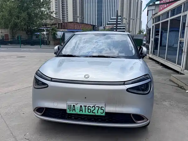 Dongfeng Nano 01 2025