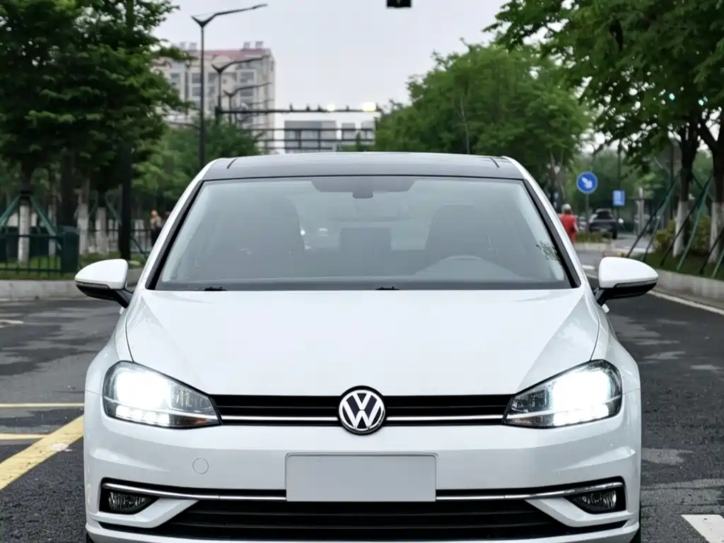 Volkswagen Golf 2019 — фото 2