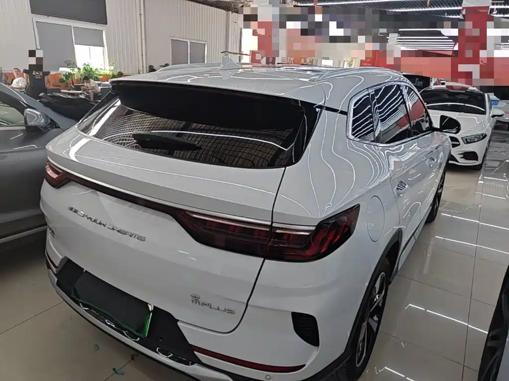 BYD PLUS New Energy 2023 — фото 5