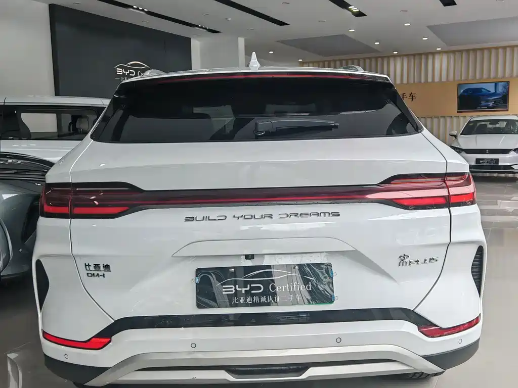 BYD Song PLUS New Energy 2024 — фото 10