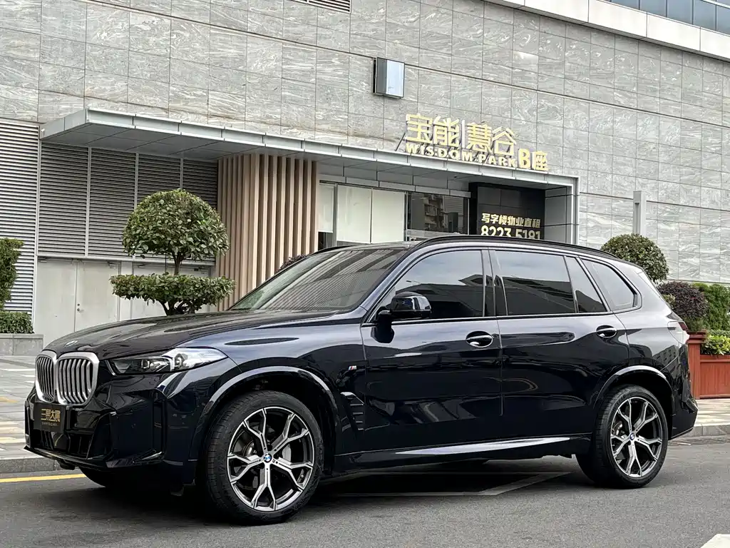 BMW X5 2025