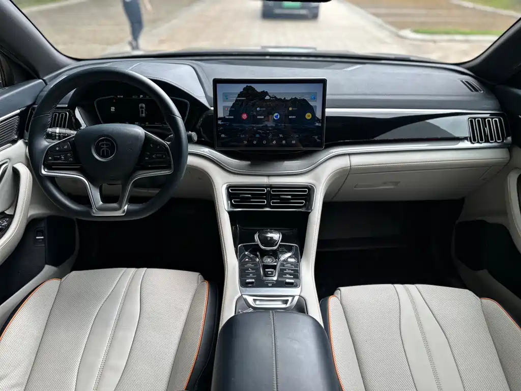 BYD PLUS New Energy 2022 — фото 13