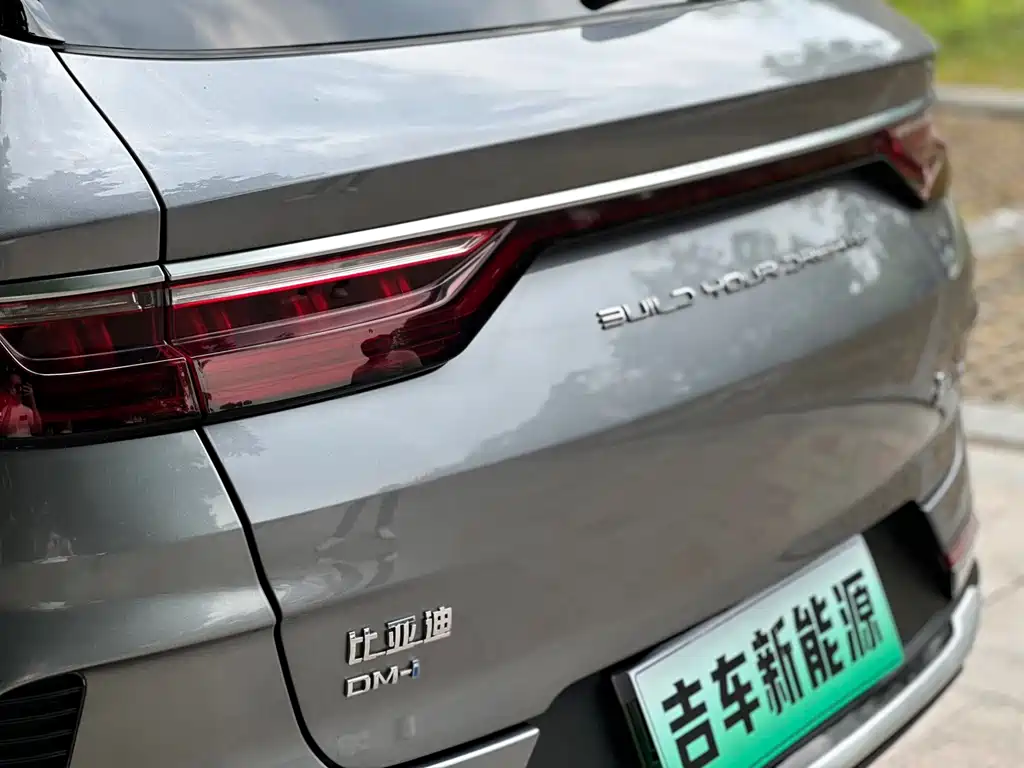 BYD PLUS New Energy 2022 — фото 10