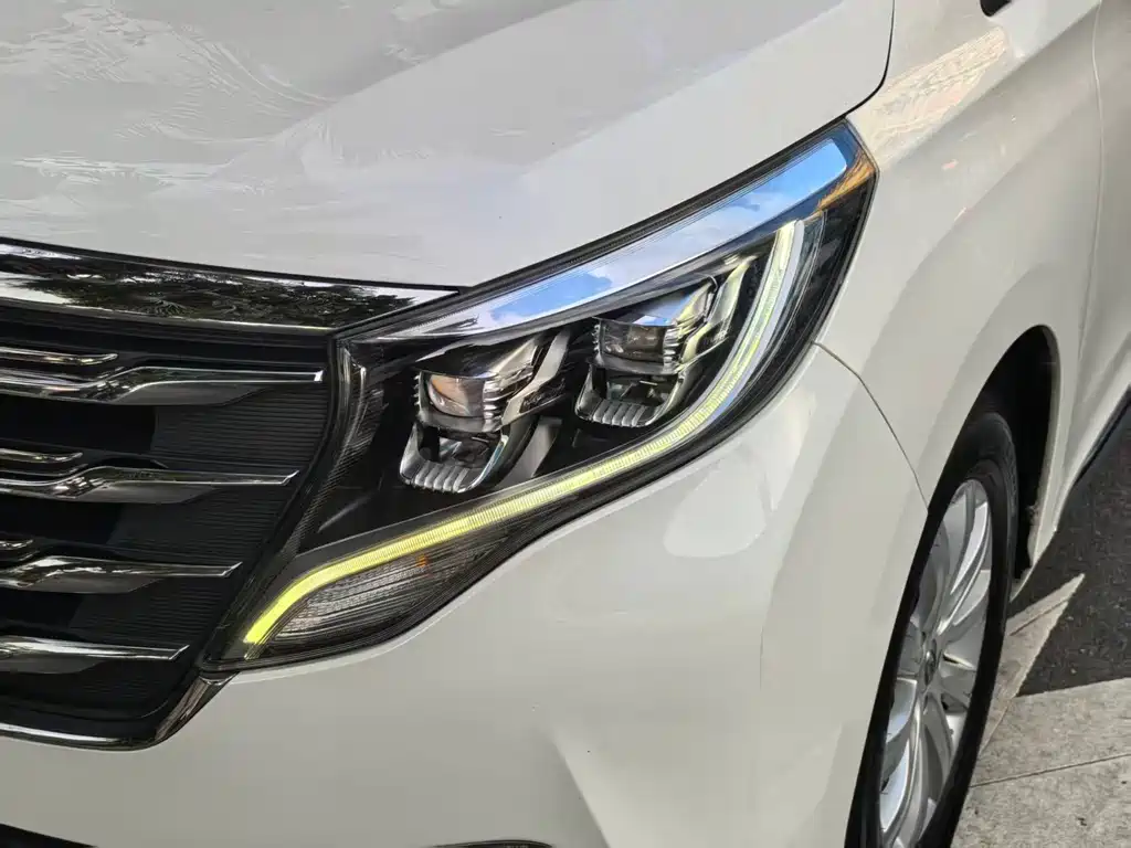 GAC Trumpchi M8 2020 — фото 16