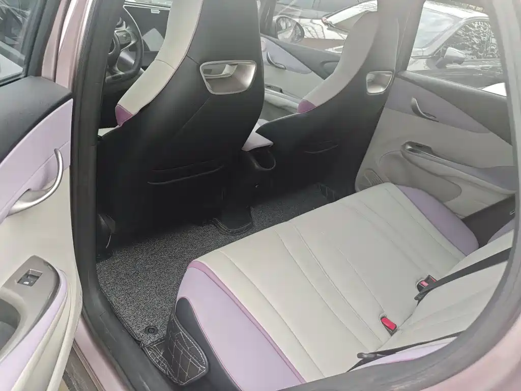 BYD Dolphin 2022