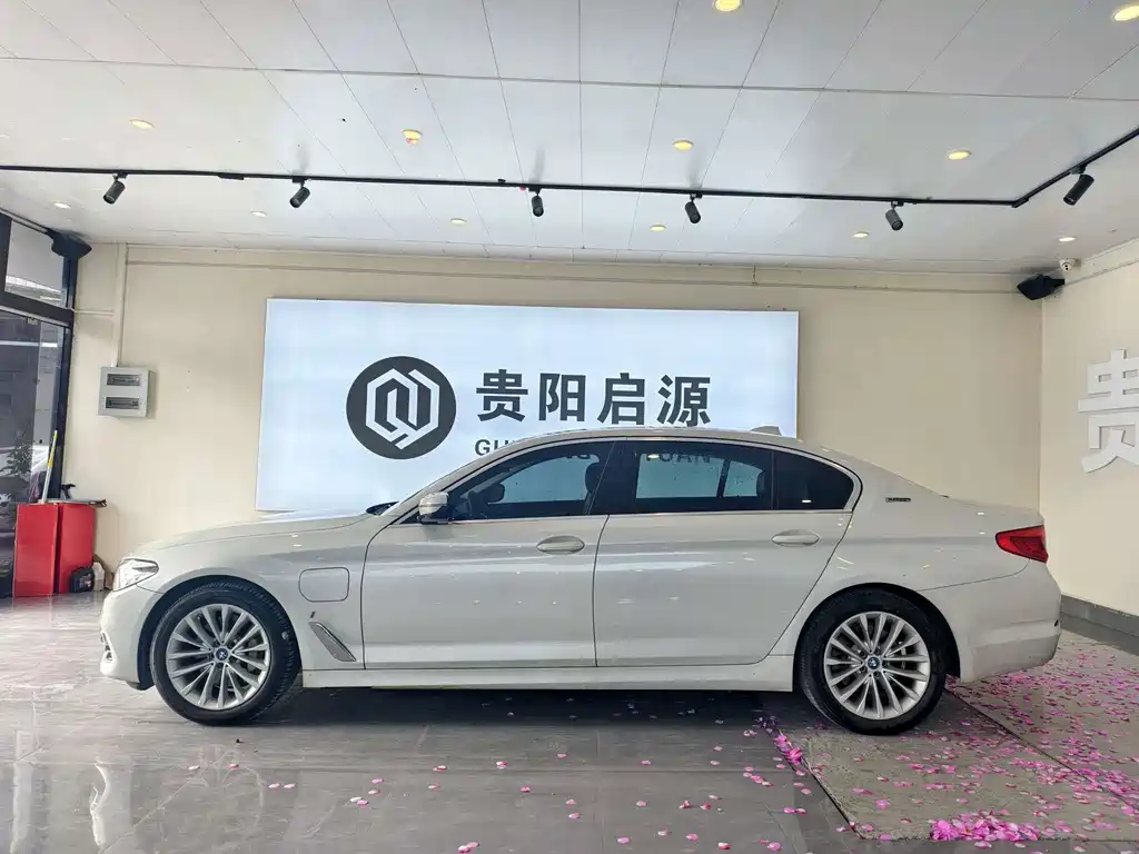 BMW 5 Series New Energy 2019