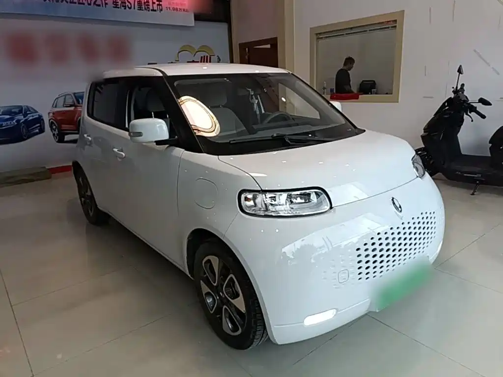 Ora White Cat 2022