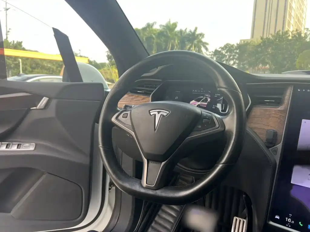Tesla Model X 2019 — фото 14