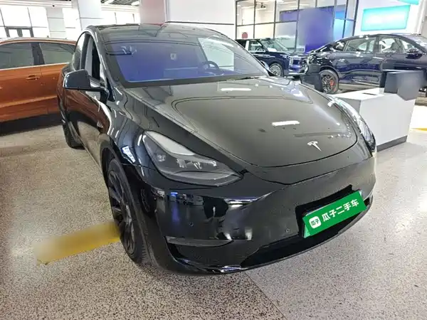 Tesla Model Y 2021