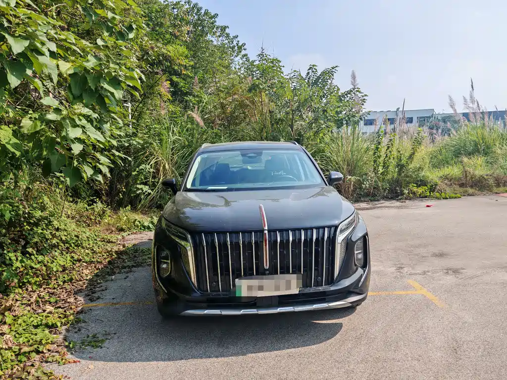 Hongqi HS7 PHEV 2024 — фото 2