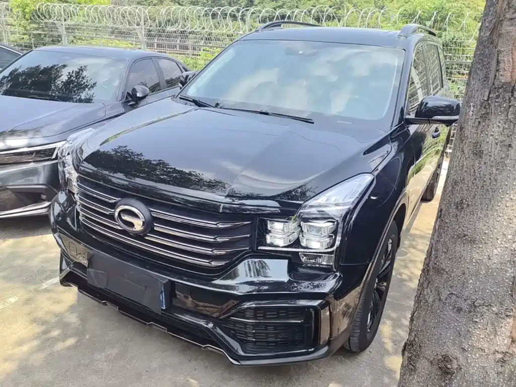 GAC Motor Trumpchi GS8 2021