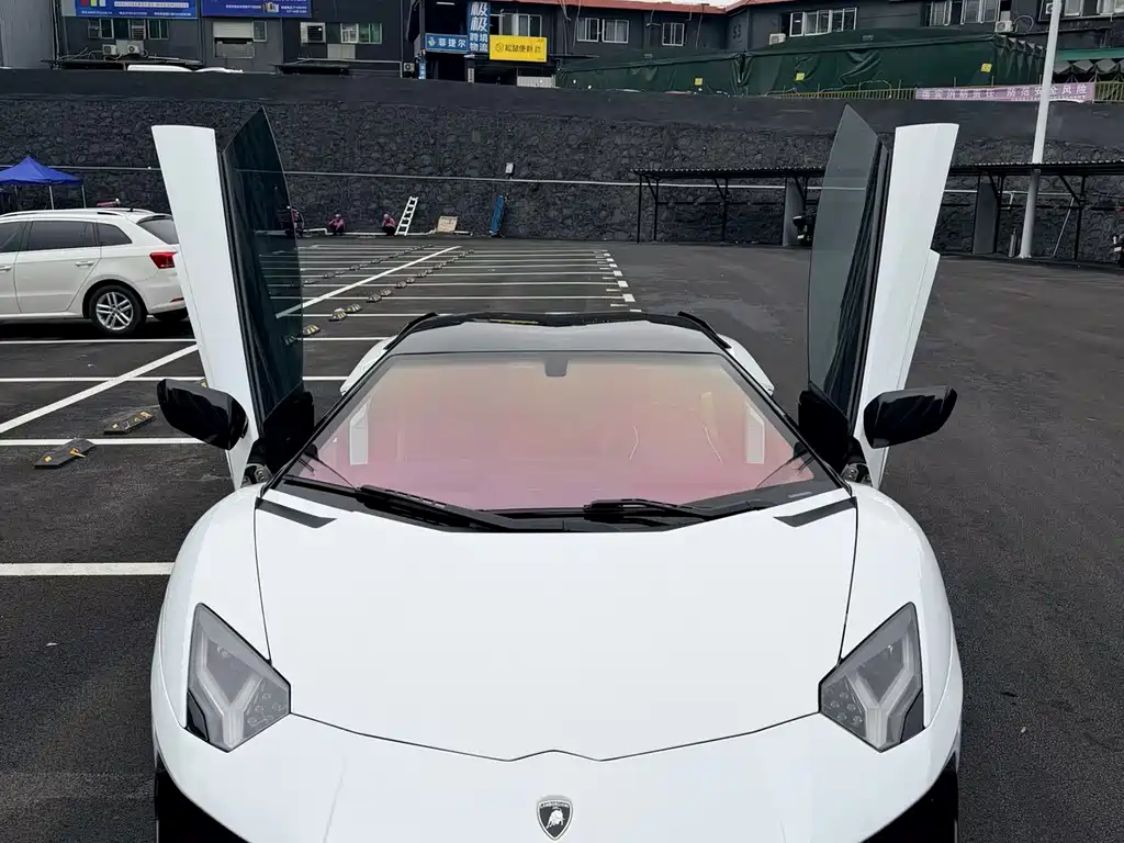 Lamborghini Aventador 2013 — фото 19