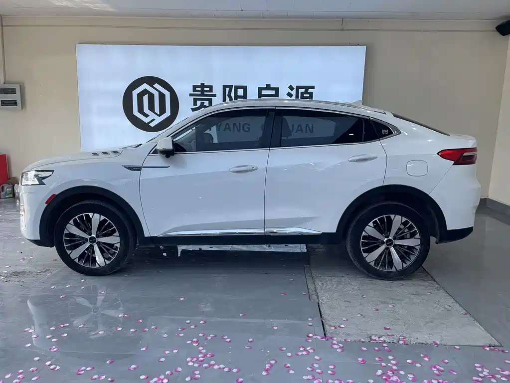 Haval F7x 2022 — фото 3