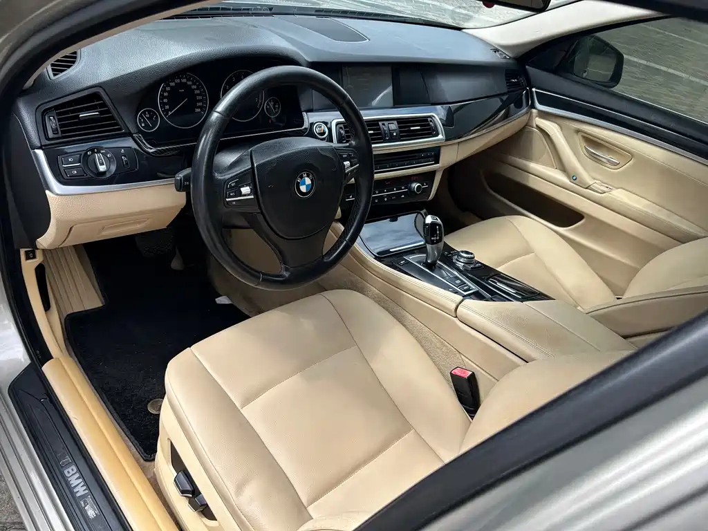 BMW 5 Series 2010