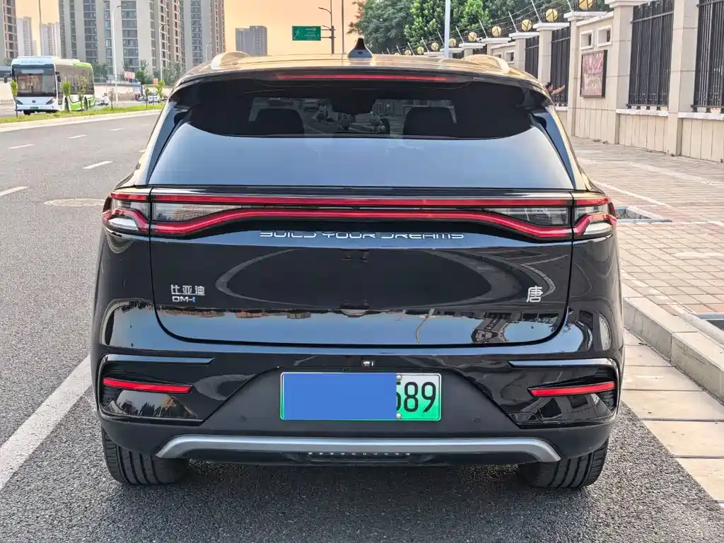 BYD Tang New Energy 2024 — фото 25