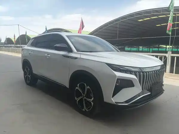 Dongfeng Haoji 2024