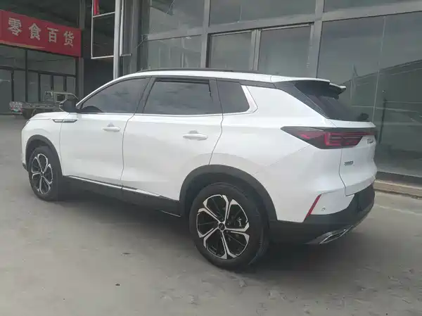Dongfeng Haoji 2024