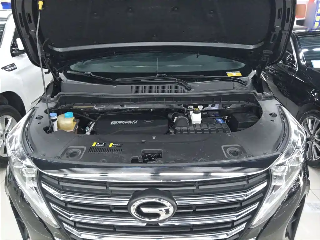 GAC Motor Trumpchi M8 2022 — фото 16