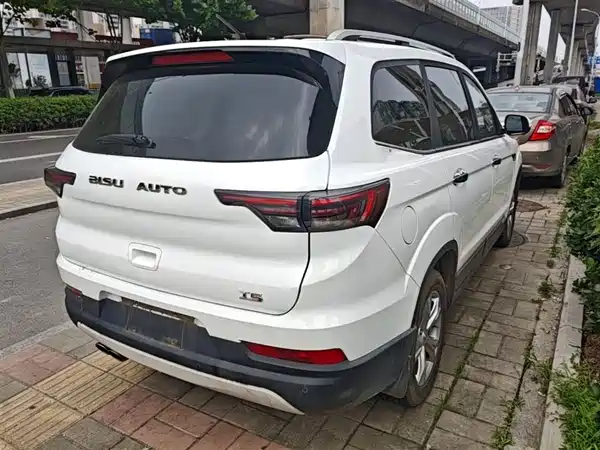 Bisu T5 2017
