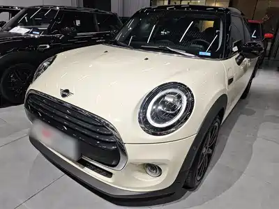 MINI MINI 2021