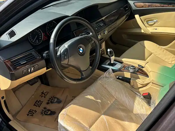 BMW 5 Series 2009