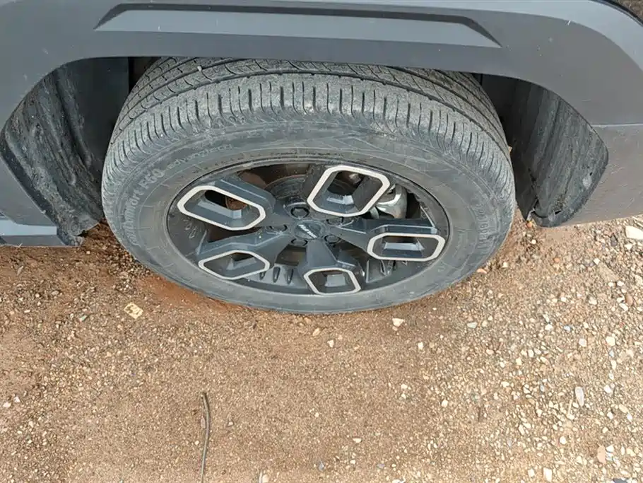 Haval Cool Dog 2023