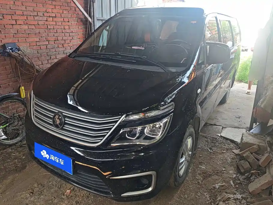 Dongfeng Lingzhi 2022