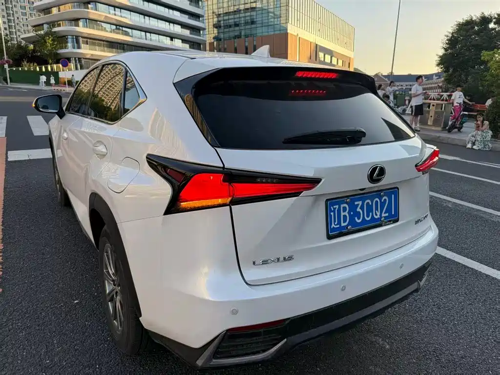Lexus NX 2020 — фото 10