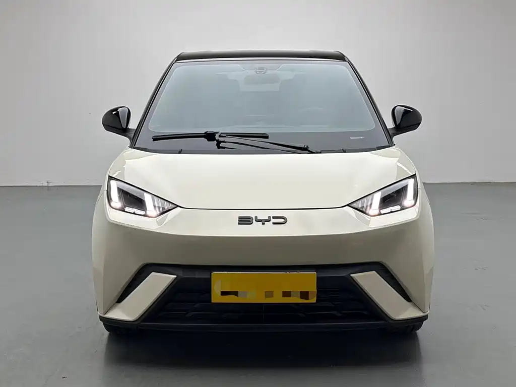 BYD Seagull 2024