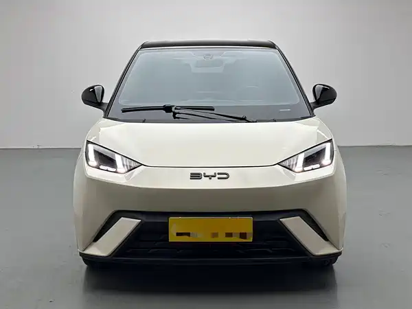 BYD Seagull 2024