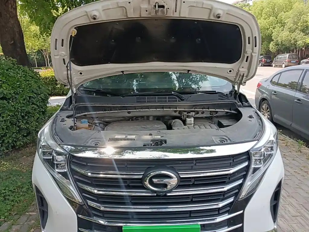 GAC Motor Trumpchi M8 2021 — фото 20