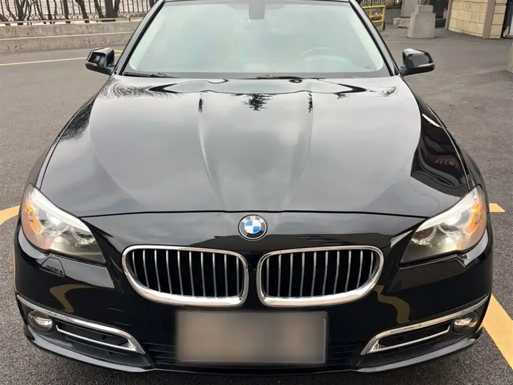 BMW 5 Series 2016 — фото 6