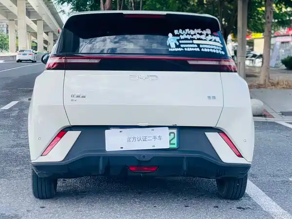 BYD Seagull 2024