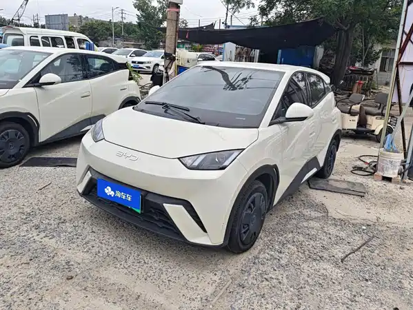 BYD Seagull 2025