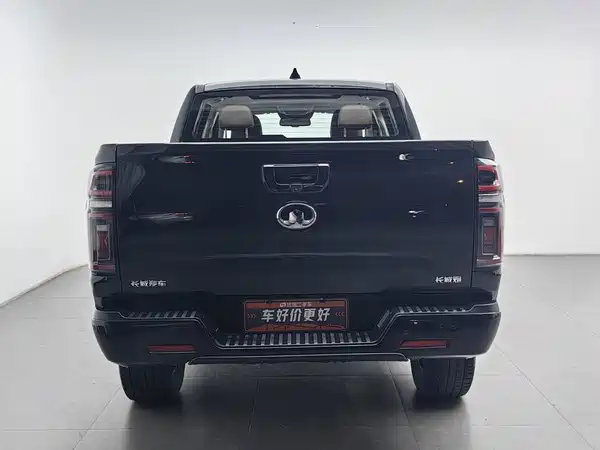 Great Wall Poer 2020