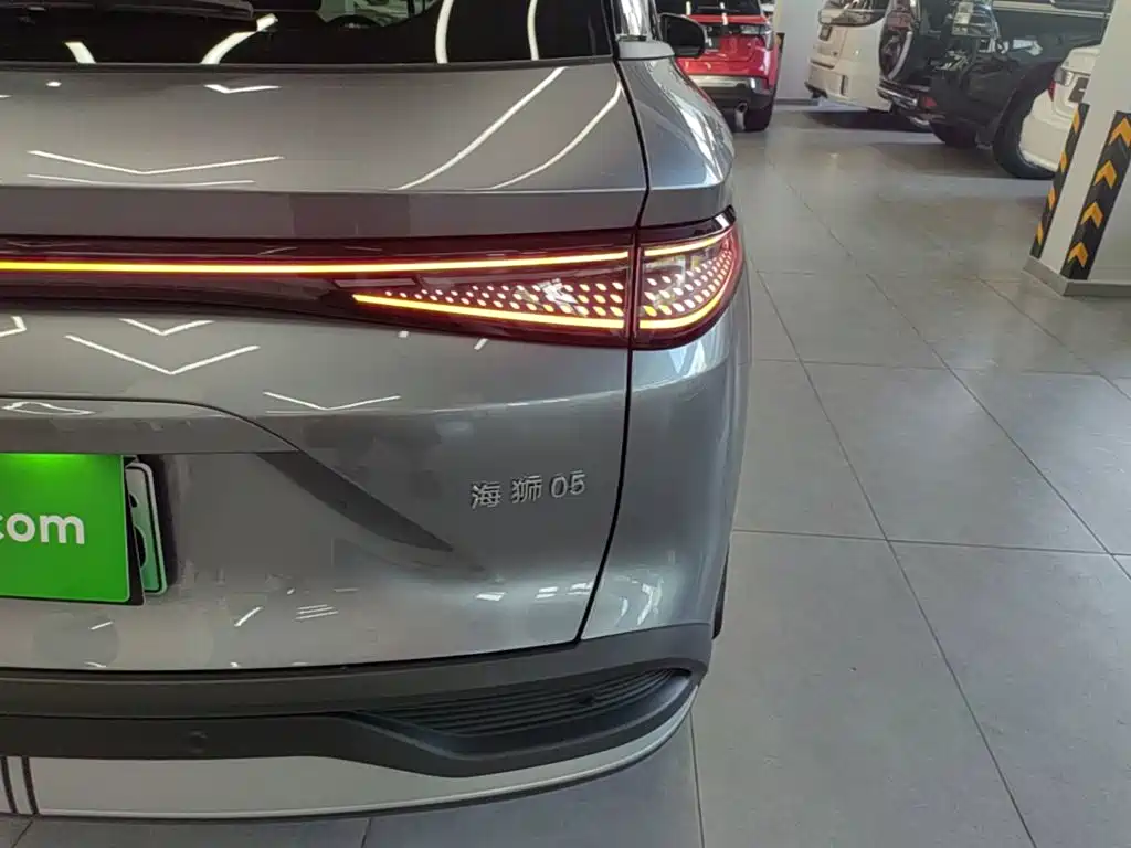 BYD Sealion 05 DM-i 2025 — фото 8