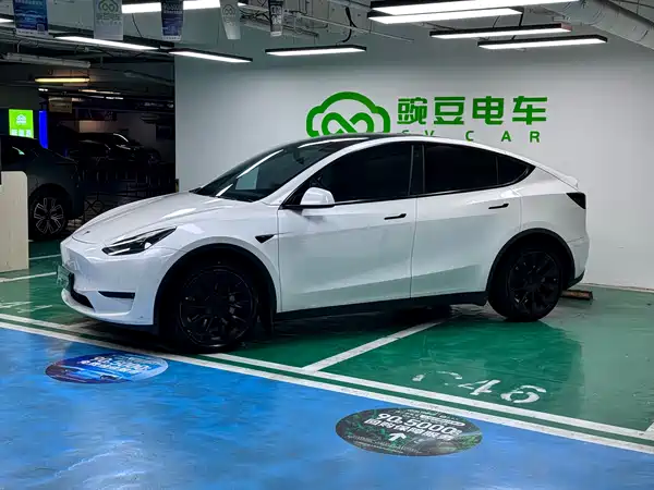 Tesla Model Y 2021