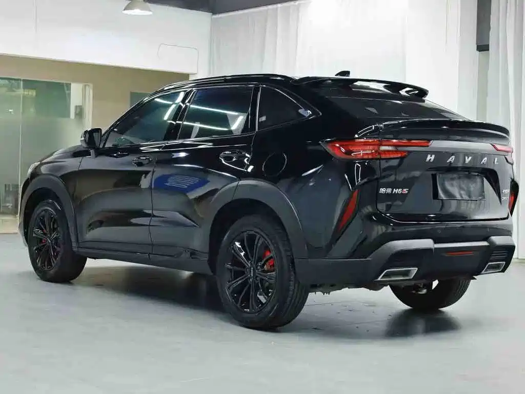 Haval H6S 2023 — фото 8