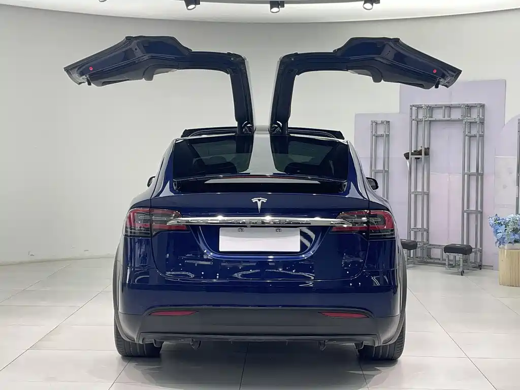 Tesla Model X 2018 — фото 5