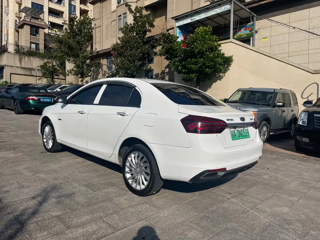 Geely New Energy 2021