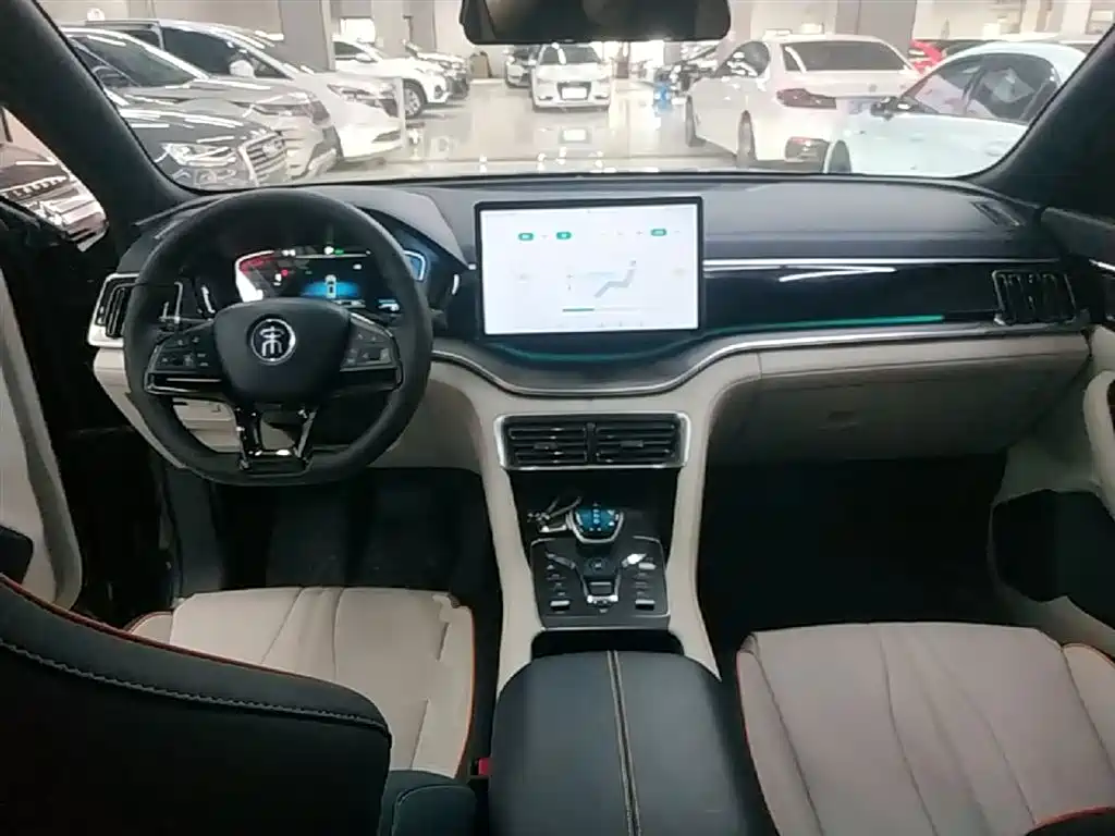 BYD PLUS New Energy 2023 — фото 10