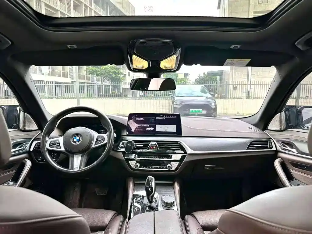 BMW 5 Series New Energy 2020