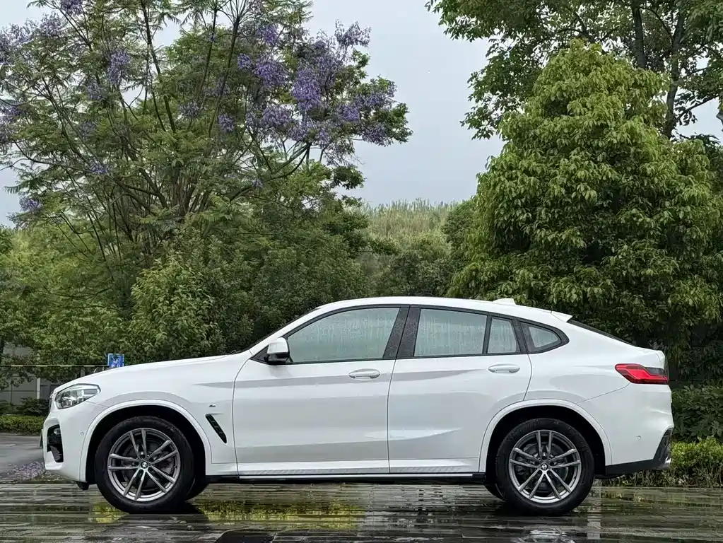 BMW X4 2019 — фото 10