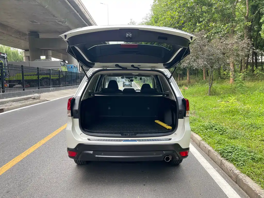 Subaru Forester 2019 — фото 14