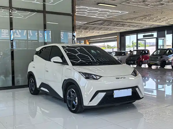 BYD Seagull 2024